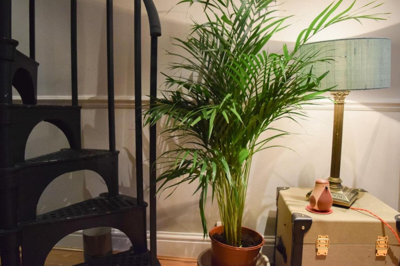 Stylish And Spacious With Terrace Londra